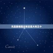 元旦属相是过年还是大年三十，请问在南方是大年三十算过年，还是初一算过年