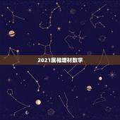2021属相增材数字，2021年，我国在航天领域的最新成就？