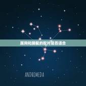 属狗的和什么属鼠配吗(狗鼠配命运如何)