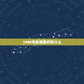 1985年配偶最好配什么，85年属牛的和什么属相配最好？