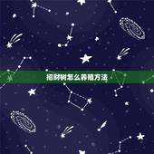 招财树怎么养殖方法，招财树的养殖方法和注意事项(10年养殖经验分享)