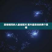 属相相同的人最佳配对 属牛最忌讳的两个属相