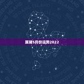 属猪5月份运势2022，1983年属猪女2021年运势每月及运程