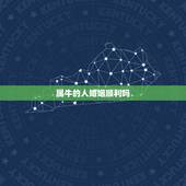 属牛的人婚姻顺利吗，属牛女人婚姻与命运