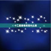 十二星座老虎是什么座，十二星座虎是什么座十七岁