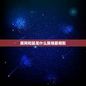 属狗和鼠是什么属相最相配，属狗的和属老鼠婚姻是否般配