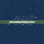 属羊的和属鼠的婚姻状况如何，羊鼠相害真实例子