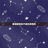 属相鼠的孩子适合养狗吗，养宠物鼠的注意事项
