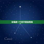 乌龟放一个月不管会死吗，我要出远门家里没人喂养龟龟怎么办在池子里的龟龟