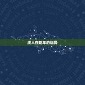 虎人在蛇年的运势，虎年属蛇运势怎么样呢