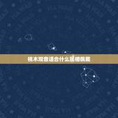 桃木观音适合什么属相佩戴，佩带桃木的东西有忌讳和讲究？