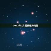 2022年7月属猴运势如何，2004年出生属猴，2022年运程