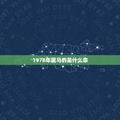 1978年属马的是什么命，1978年出生是什么命