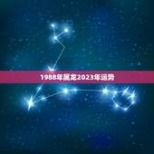 1988年属龙2023年运势，1988年出生的人在2023年2月26日
