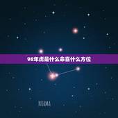 98年虎是什么命喜什么方位，几月份的虎宝宝更好命