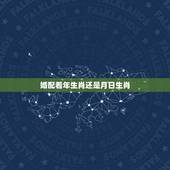 婚配看年生肖还是月日生肖，男女婚配怎么看是否适合在一起，看八字还是属相