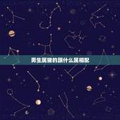 男生属猪的跟什么属相配，95年属猪男的和什么属相最配