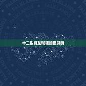 十二生肖龙和猪婚配好吗，婚配 属相 龙与猪合吗？龙跟什么属相比较合适？