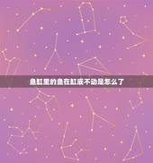 鱼缸里的鱼在缸底不动是怎么了，我养的皮球鱼总是待在鱼缸底部，而且不动地