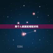 两个人都属蛇婚配好吗，两个属蛇的人结婚好吗