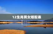 12生肖男女婚配表，十二生肖婚配:属相合婚配对表