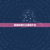 属猪的跟什么属相不合，属猪和什么属相最配？和什么属相不配