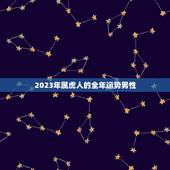 2023年属虎人的全年运势男性，2022 年属虎人的全年运势