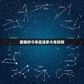 属猪的今年应该多大年龄啊，属猪的60几岁