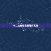 十二生肖谁是最好的属相，十二生肖哪个属相最好？