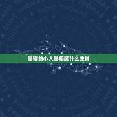 属猪的小人属相属什么生肖，属猪人和什么属相的结婚不好