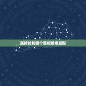 属猪的和哪个属相婚姻最配，属猪的更佳生肖配对