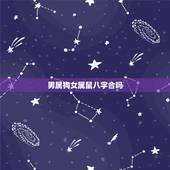 男属狗女属鼠八字合吗 女属鼠男属狗的婚姻怎么样