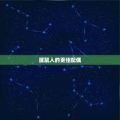 属鼠人的更佳配偶，属相兔的更佳配偶