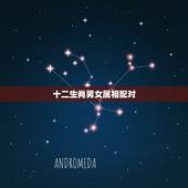 十二生肖男女属相配对，属相配对说：生肖配对能判断男女婚配吗
