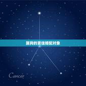 属狗的更佳婚配对象，属狗更佳婚配前十名属相