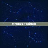 1975年属兔今年每月运程，1975年属兔的今天运势