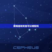 摩羯座和双鱼可以婚配吗，摩羯座（男）和双鱼座女会有结果吗？