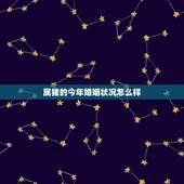 属猪的今年婚姻状况怎么样，八三年属猪今年的婚姻状况