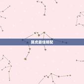 属虎最佳婚配，属虎的最佳配对属相是什么？