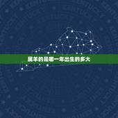 属羊的是哪一年出生的多大，属羊的今年多大
