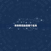 羊的桃花劫是哪个生肖，生肖羊的年份