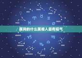 属狗的什么属相人最有福气，哪个属相的人最有福