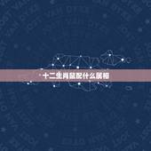 十二生肖鼠配什么属相，男女婚姻属相配对表