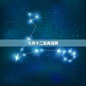 七月十二生肖运势，2017十二生肖7月15-21日生肖运势