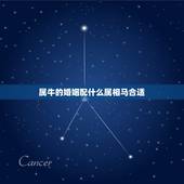 属牛的婚姻配什么属相马合适，1997属牛男和什么属相婚配合适