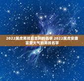 2022属虎男孩最吉利的名字 2022属虎安康富贵大气的男孩名字