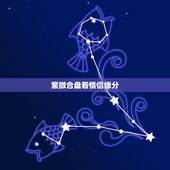 紫微合盘看情侣缘分，个人命盘详解免费版