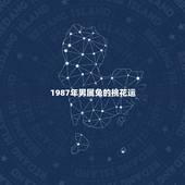 1987年男属兔的桃花运，87年属兔2022 年婚姻怎样