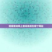 婚姻查询网上查询系统在哪个网站，结婚证查询网上查询系统