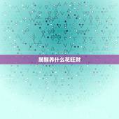 属猴养什么花旺财，属猴的2022 适合养什么花